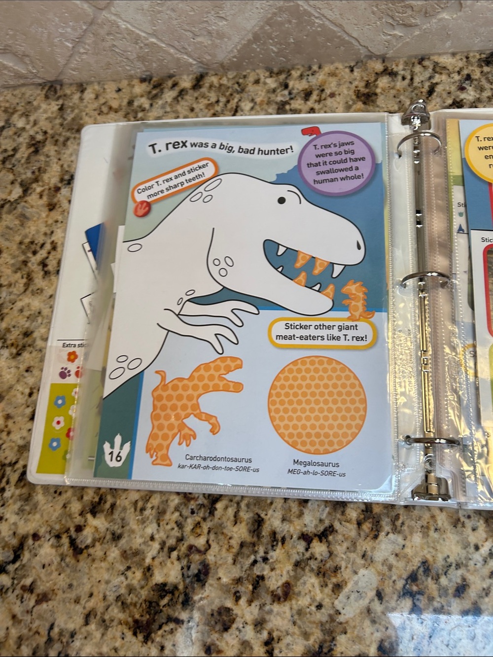 National Geographic Sticker Book - Picture 14 of 16